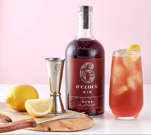Sloe Tonic and lemon