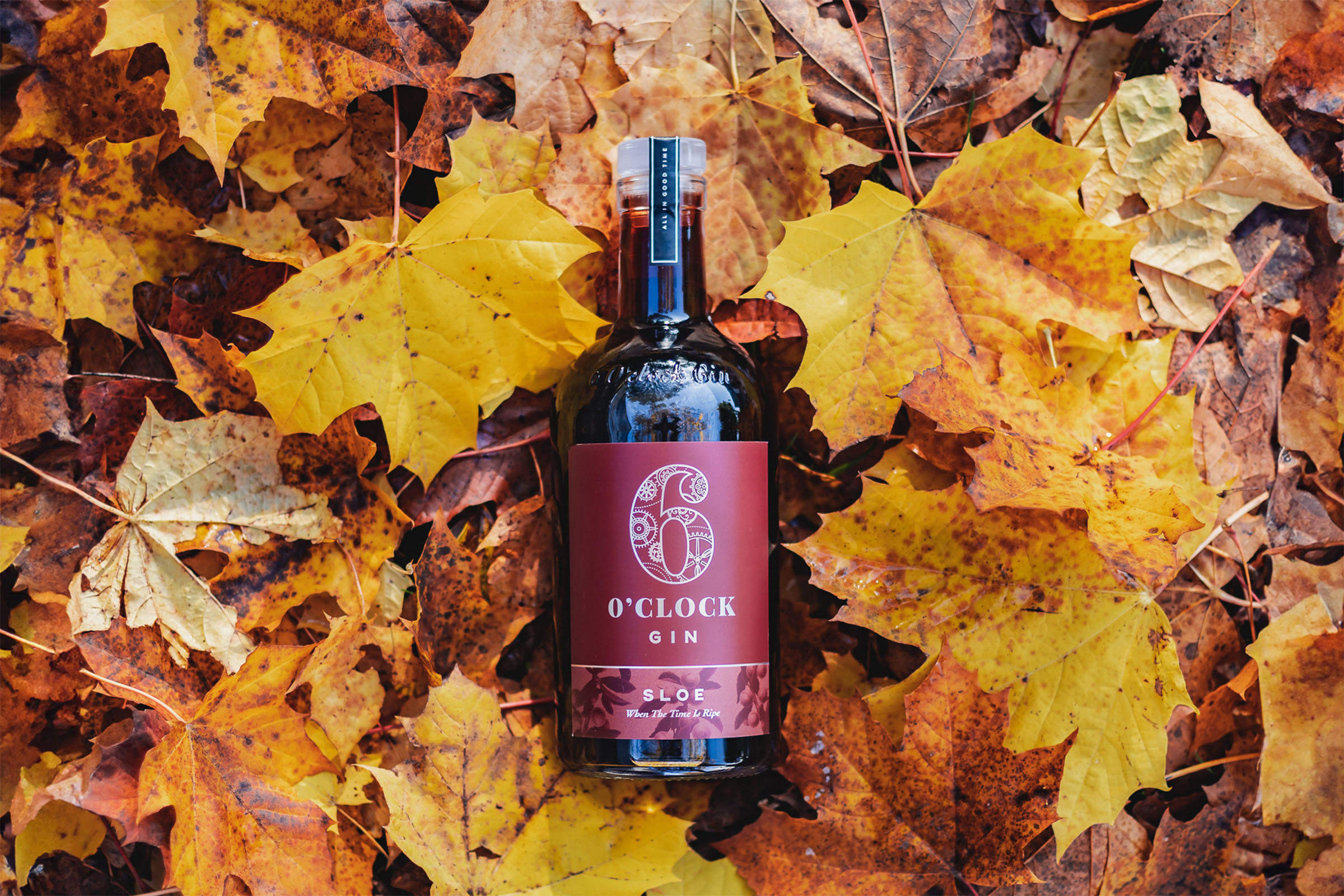 6 O'clock Sloe Gin Bottle in Autumn Leaves. A Timeless Classic