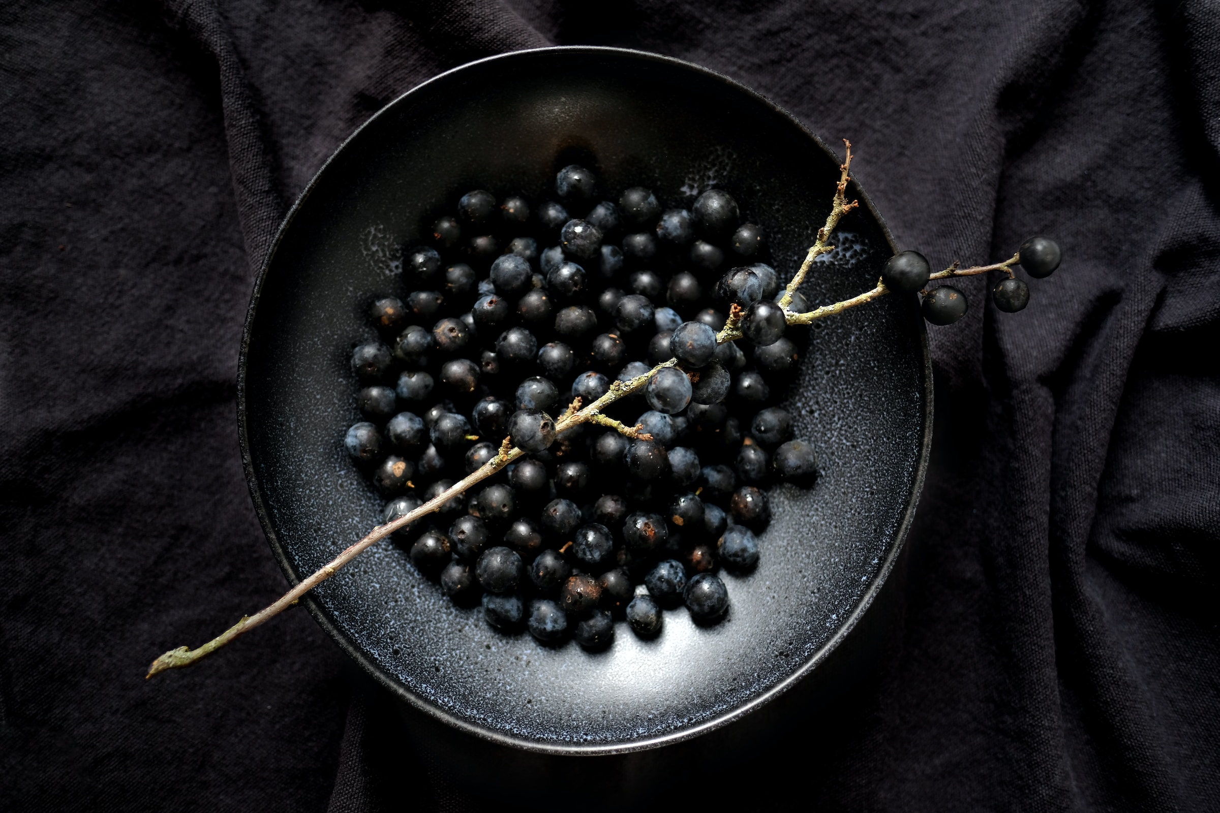 Sloe Berrys in a bowl. Freshly foraged