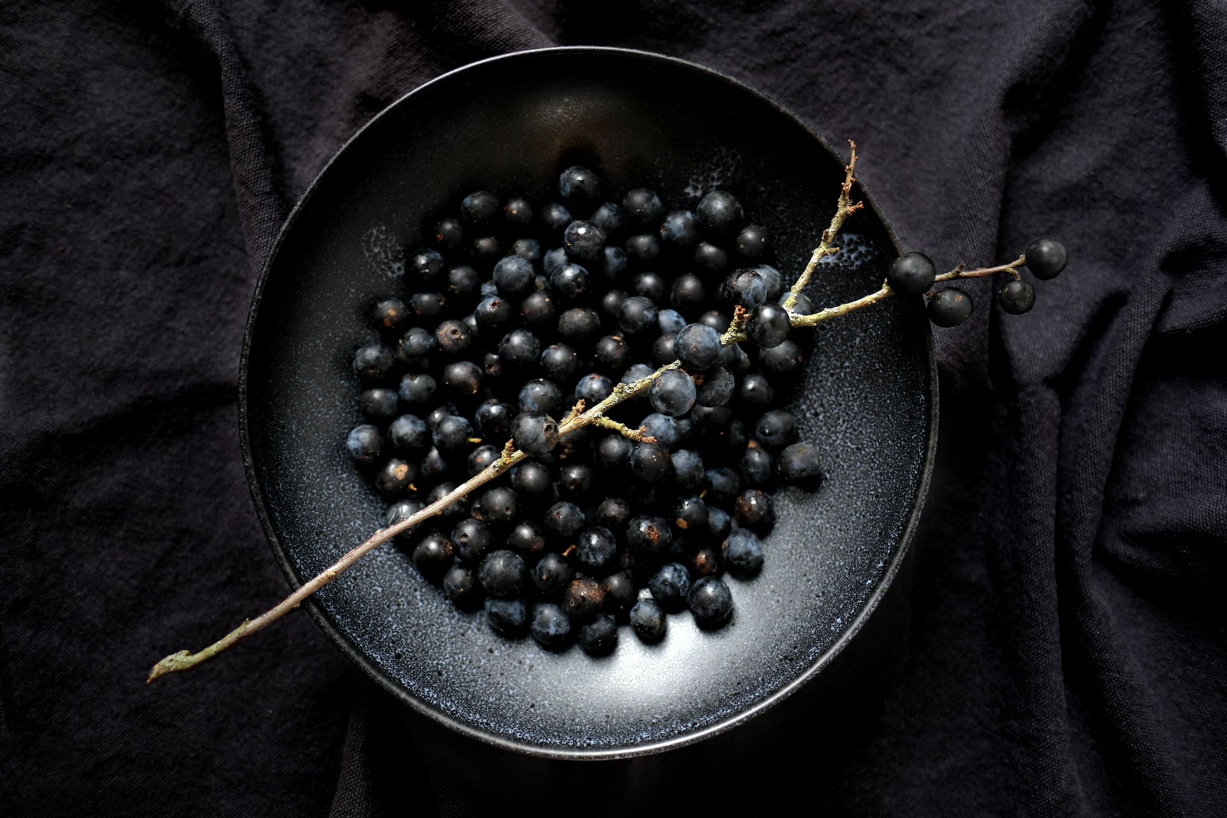 Sloe Berrys in a bowl. Freshly foraged